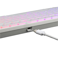 Keyboard Gaming Mechanical Redragon Anubis K539 TKL Wireless RGB Low Profile (Brown Switch, White) - King Tech