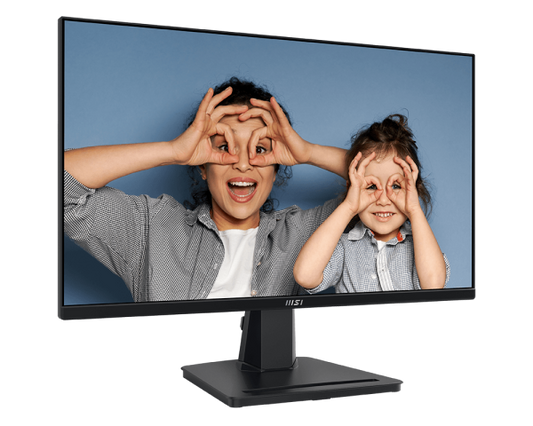 Monitor MSI PRO MP251 24.5 inches IPS FHD 100Hz