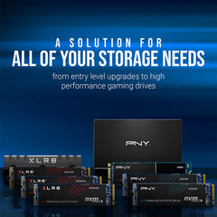 PNY CS900 250GB SATA 2.5" Internal SSD
