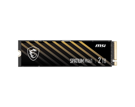 SSD MSI SPATIUM M461 NVMe PCIe 4.0 M.2 (4 تيرابايت)
